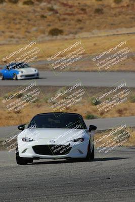 media/Feb-22-2025-Team Topak Racing (Sat) [[cb57a51a40]]/Intermediate Low1/Turns 13 and 14/